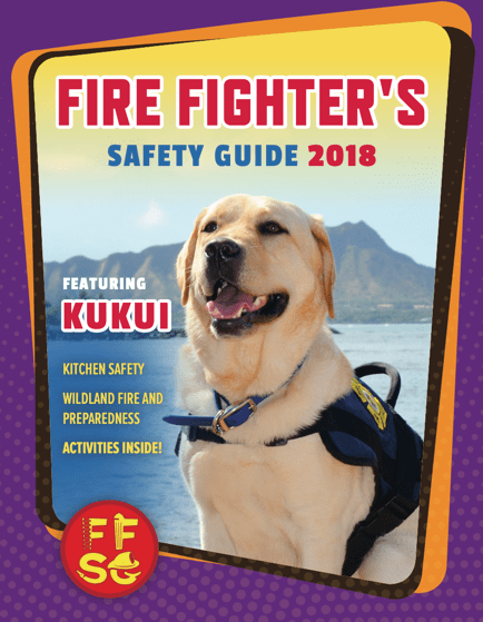 2018 FFSG Cover