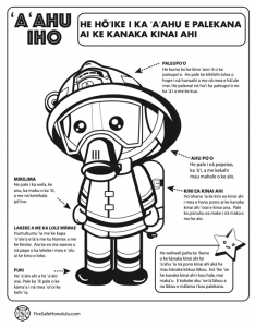 'A'ahu Iho Worksheet